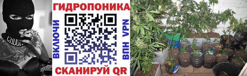 Купить наркотики сайты Невель ГАШИШ  МАРИХУАНА  Меф мяу мяу 
