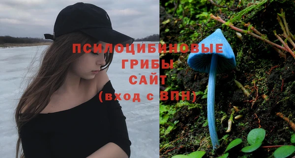 гидра Дмитриев