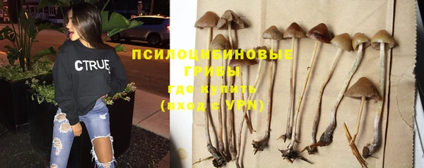 гидра Дмитриев